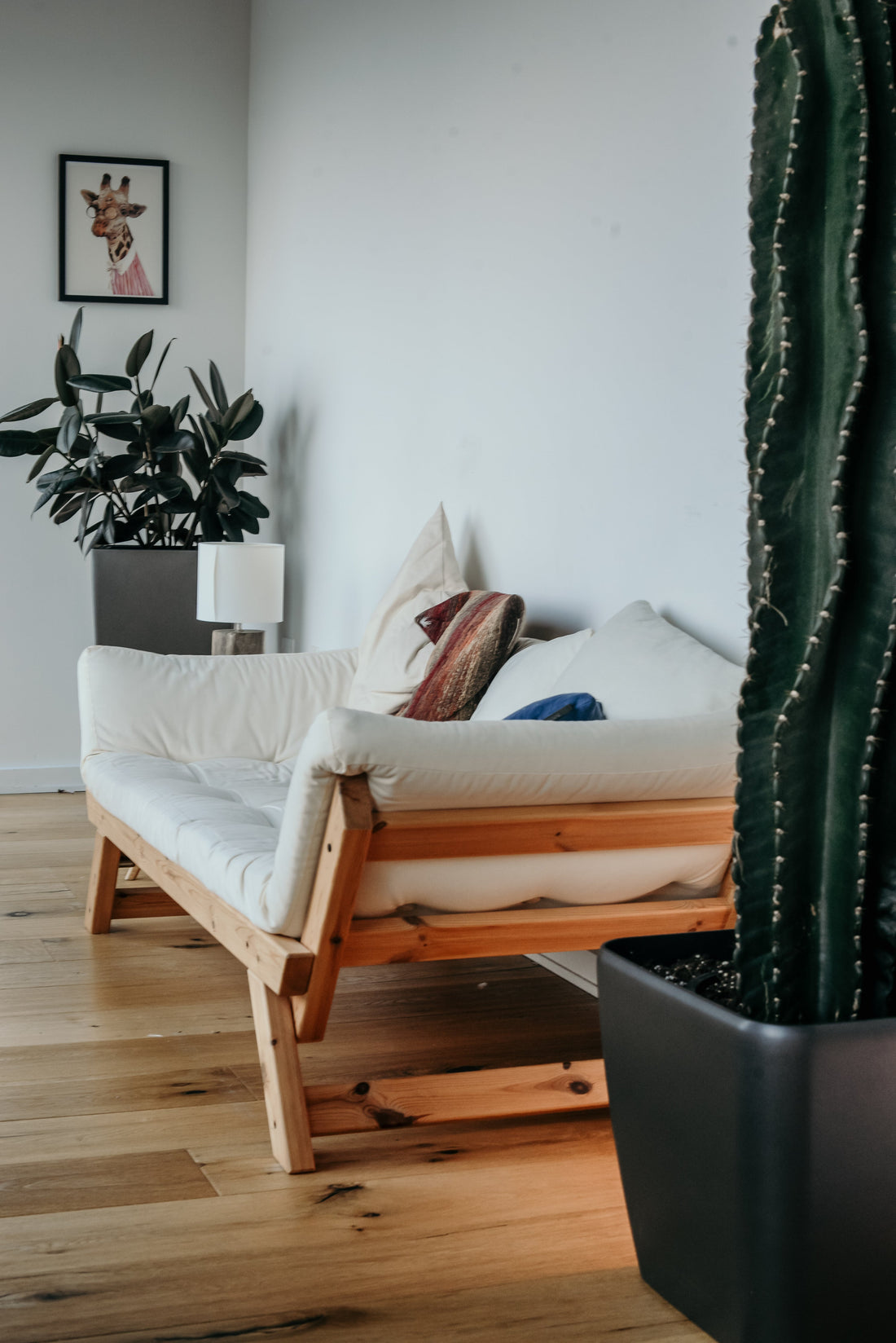 Luxury Click Clack Sofa Beds: Stylish and Comfortable Options for Modern Homes
