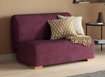 Elm Small Double Sofa in Living Room